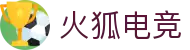 火狐电竞·(中国区)电子竞技平台